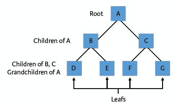 Decision Tree Structure